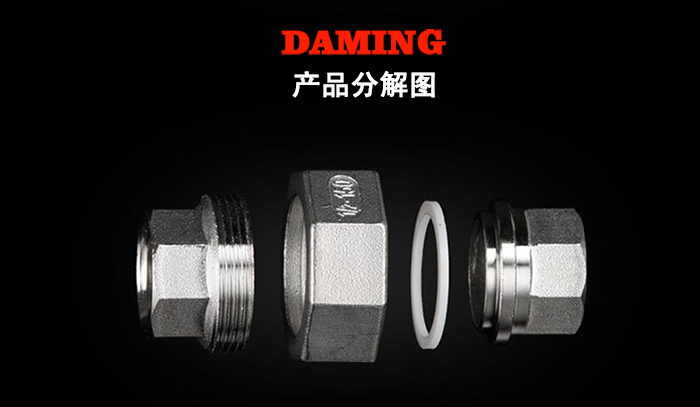 316L深夜18禁下载內絲活接頭