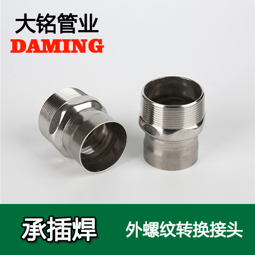 DN50*2 承插焊接式深夜18禁下载外螺紋轉換接頭（304 316L）