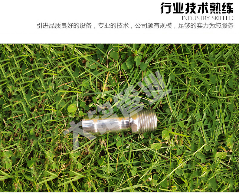 316L深夜18禁下载直通