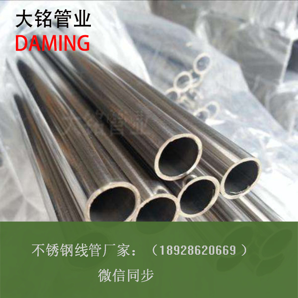 深夜18禁下载線管