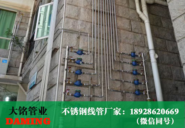 深夜18禁下载線管