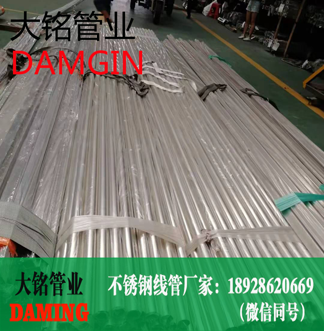深夜18禁下载線管