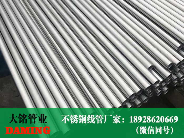 深夜18禁下载線管