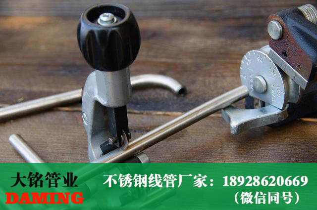 深夜18禁下载線管