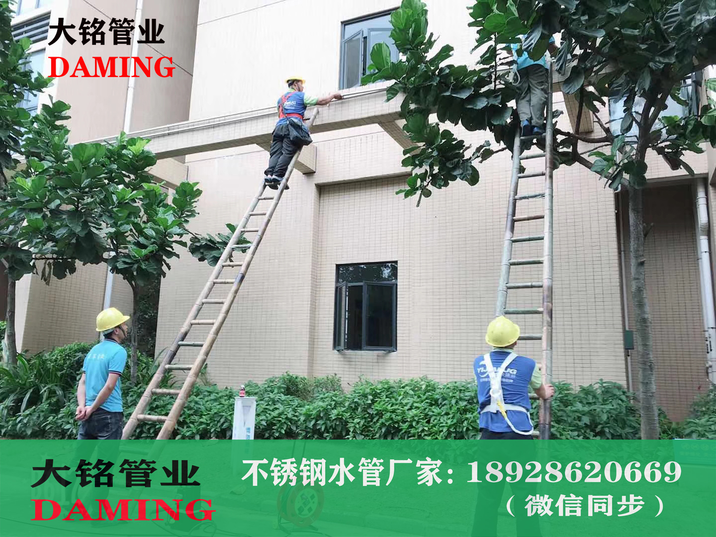 家裝薄壁深夜18禁下载水管