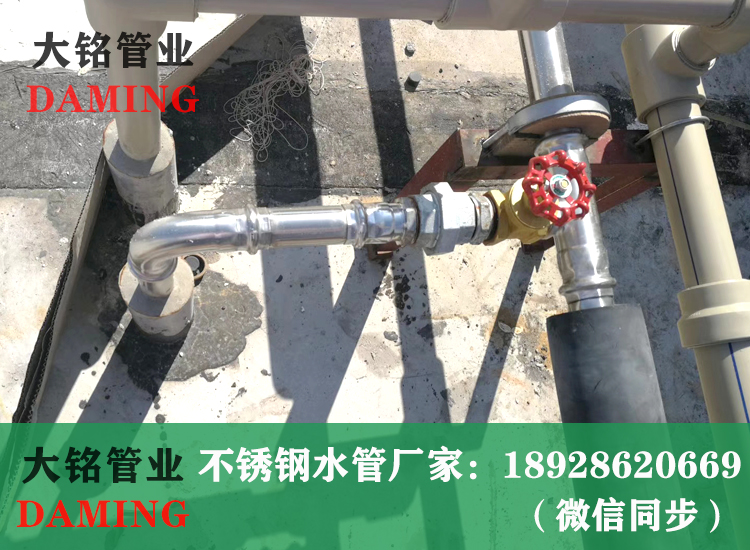 316L深夜18禁下载卡壓管