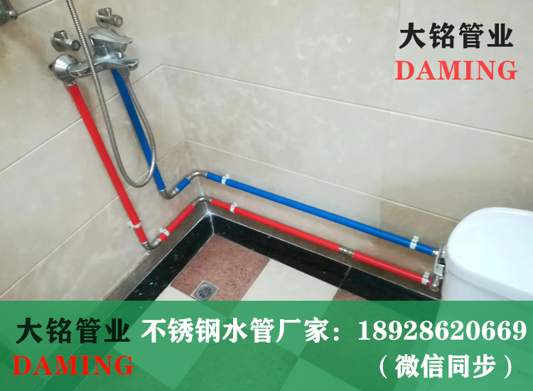 316L薄壁深夜18禁下载水管