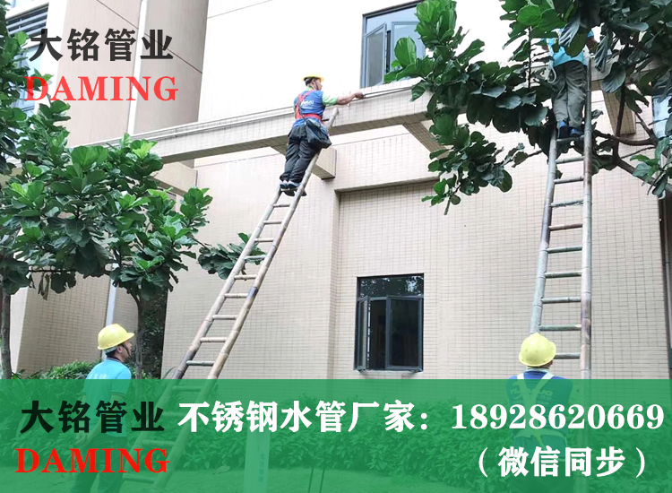 薄壁深夜18禁下载給水管
