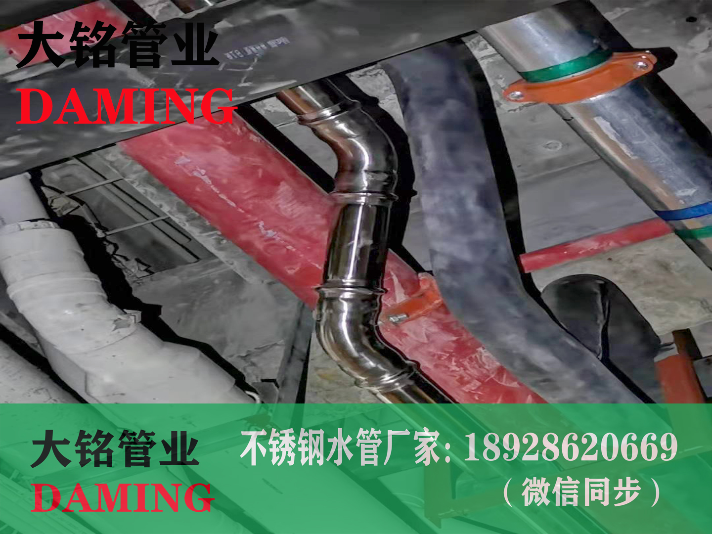 雙卡壓深夜18禁下载彎頭