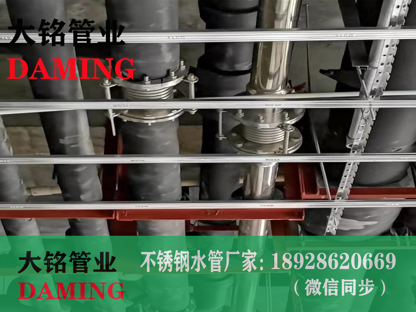 深夜18禁下载管道伸縮補償