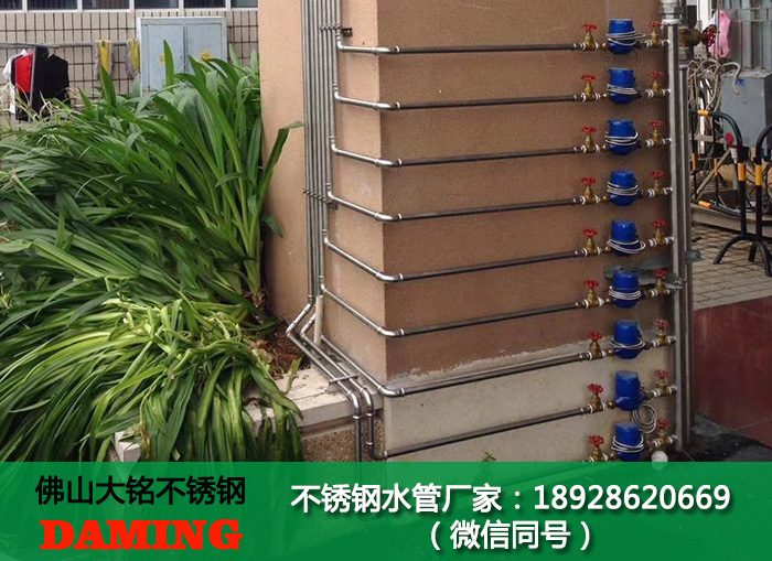 深夜18禁下载分水器
