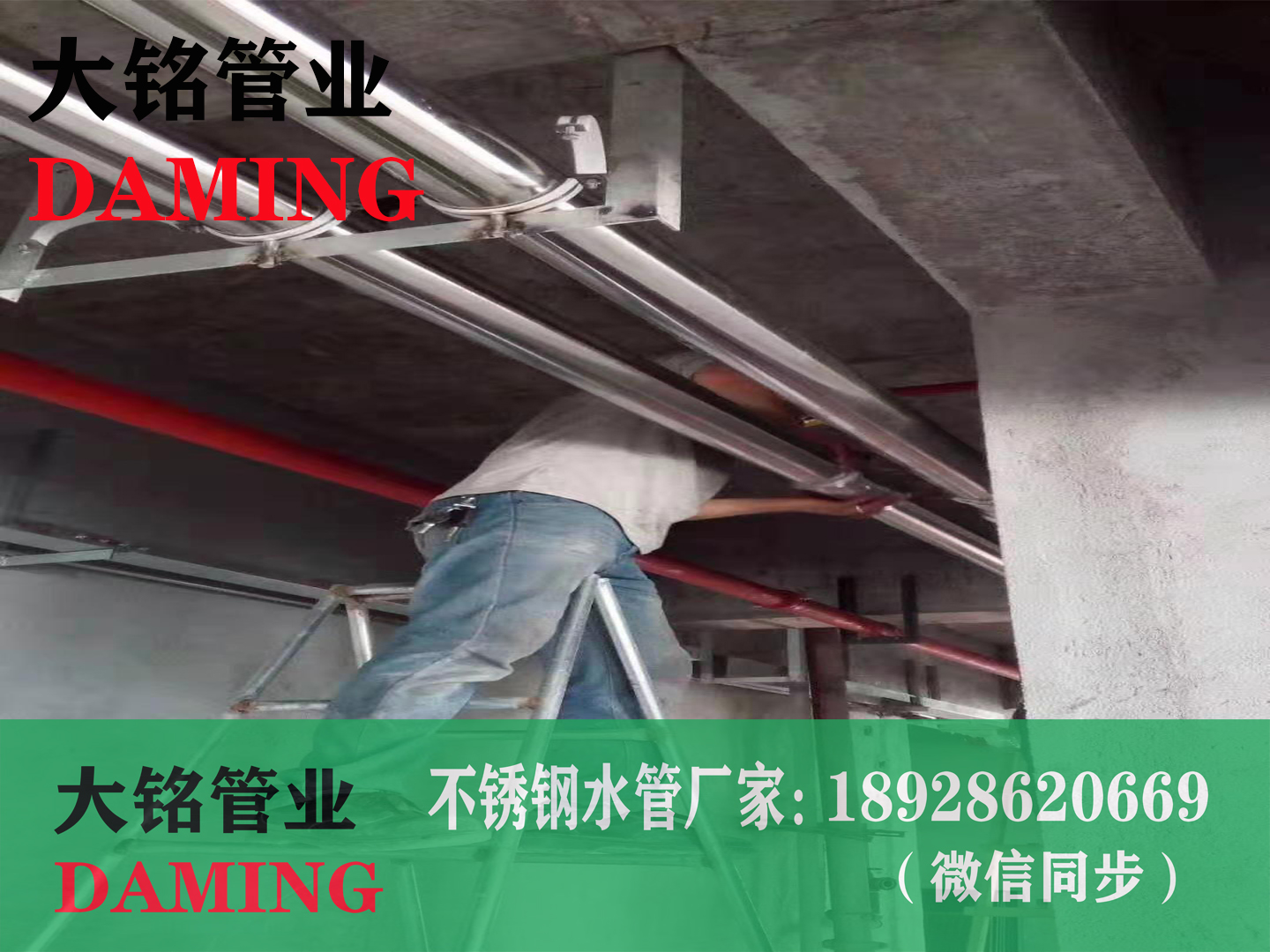 深夜18禁下载鋼管