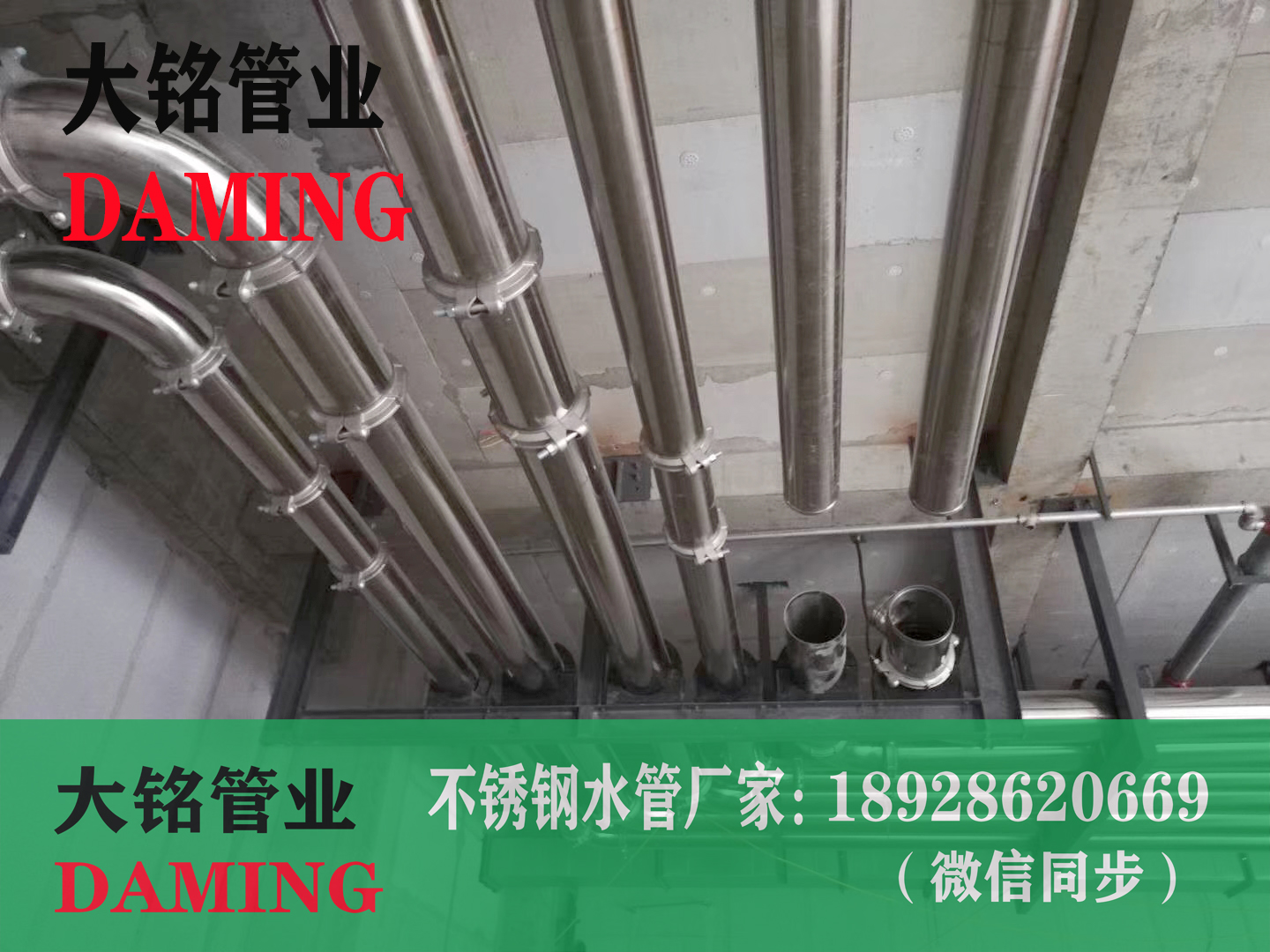 奧氏體衛生級深夜18禁下载水管