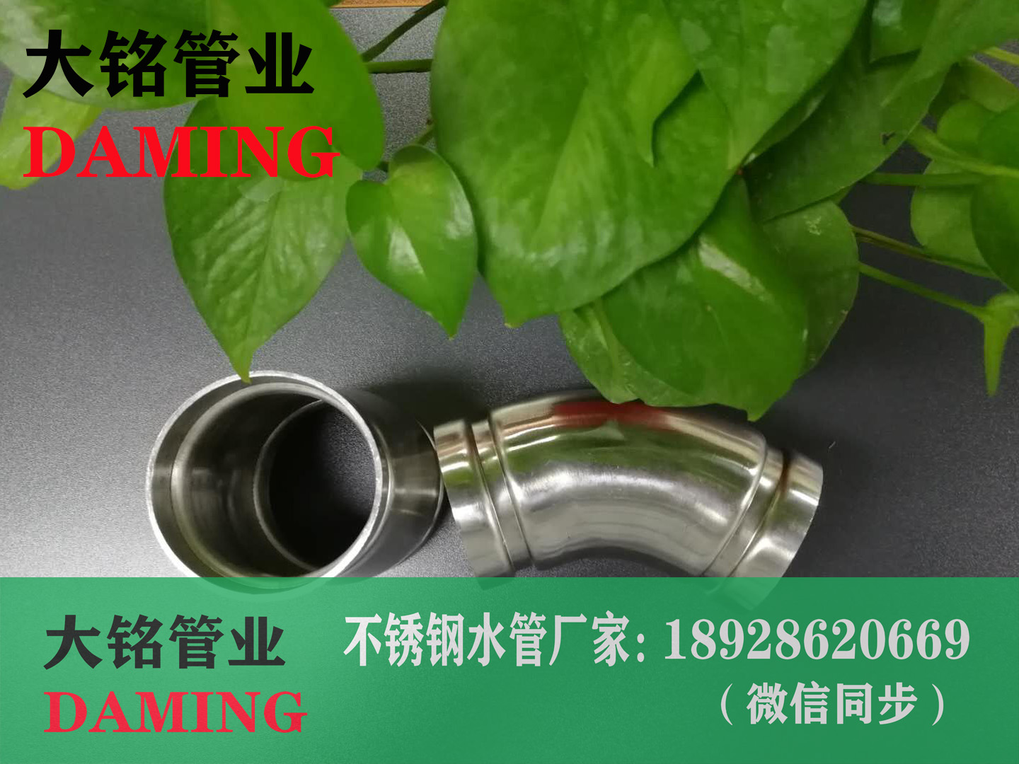 深夜18禁下载溝槽成人深夜直播APP