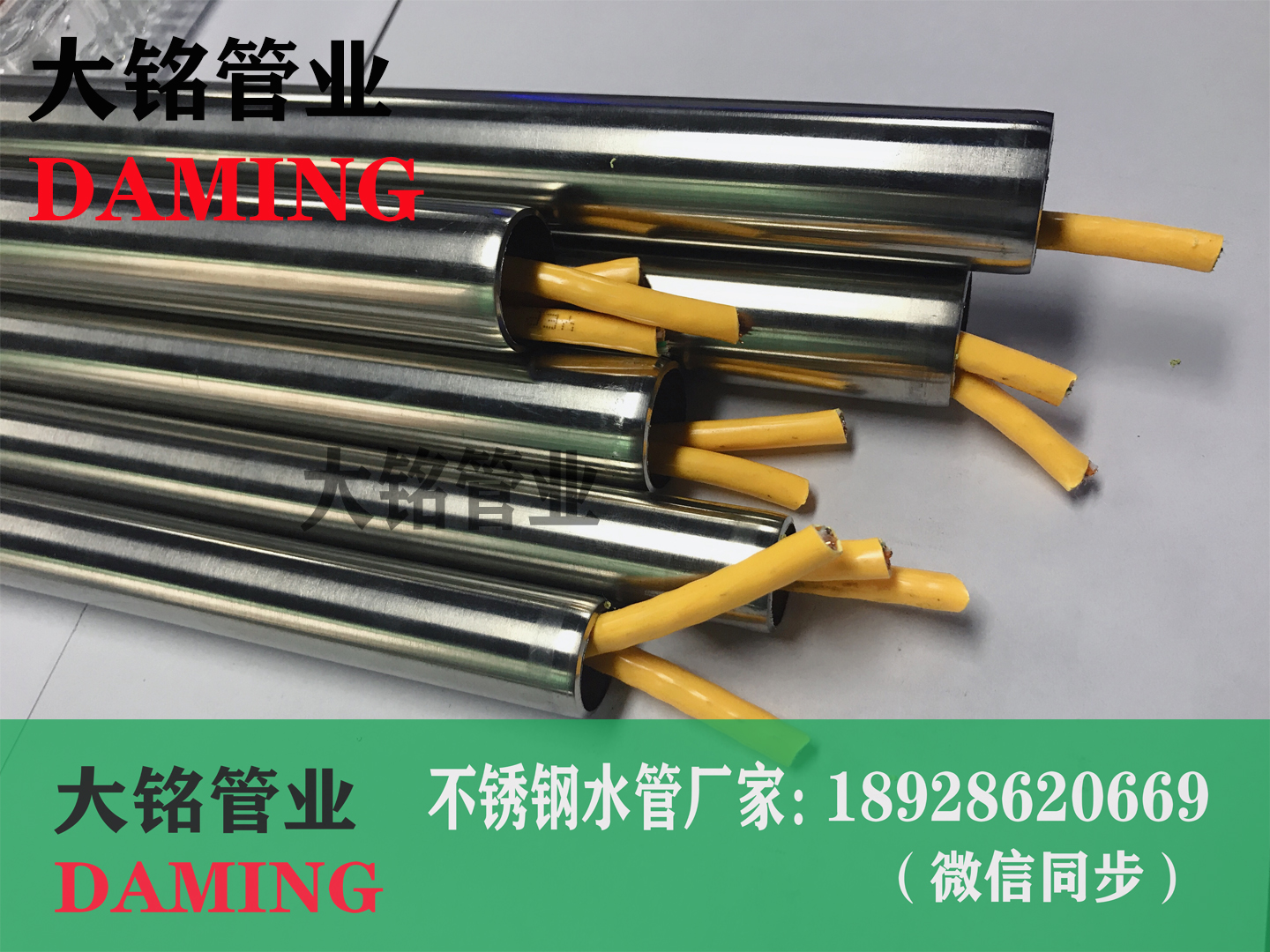 深夜18禁下载線管