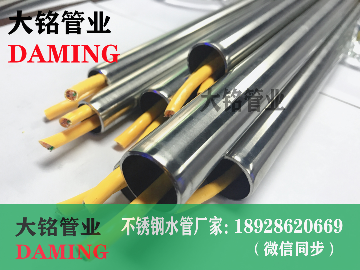 深夜18禁下载線管