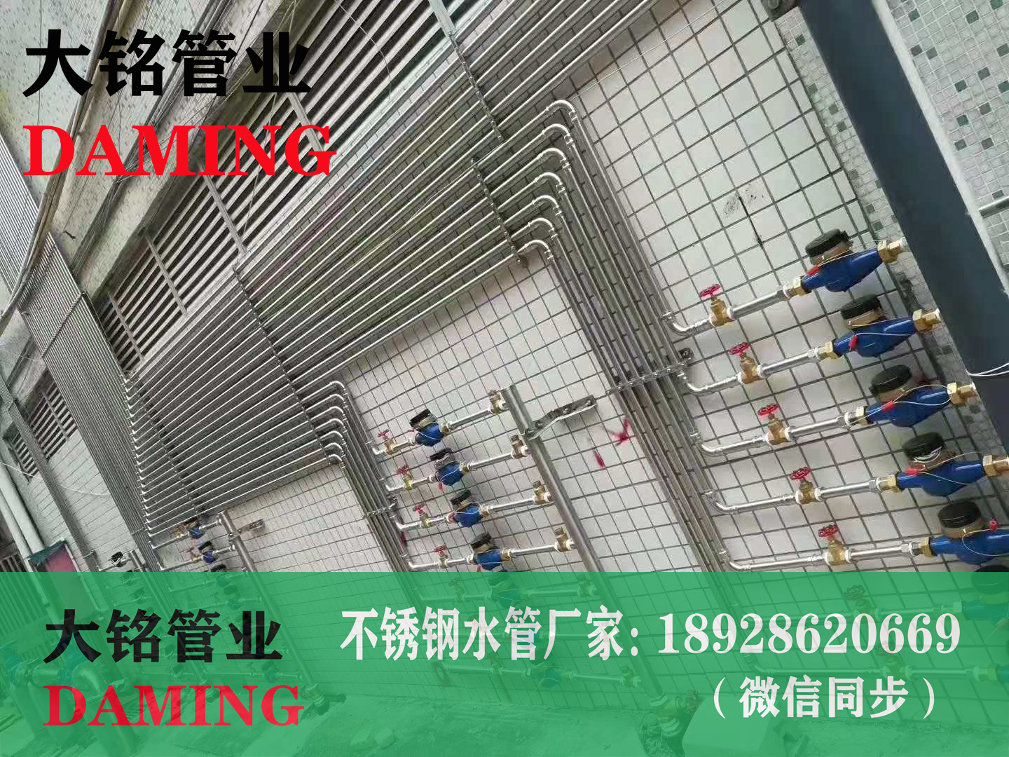 深夜18禁下载雙卡壓成人深夜直播APP