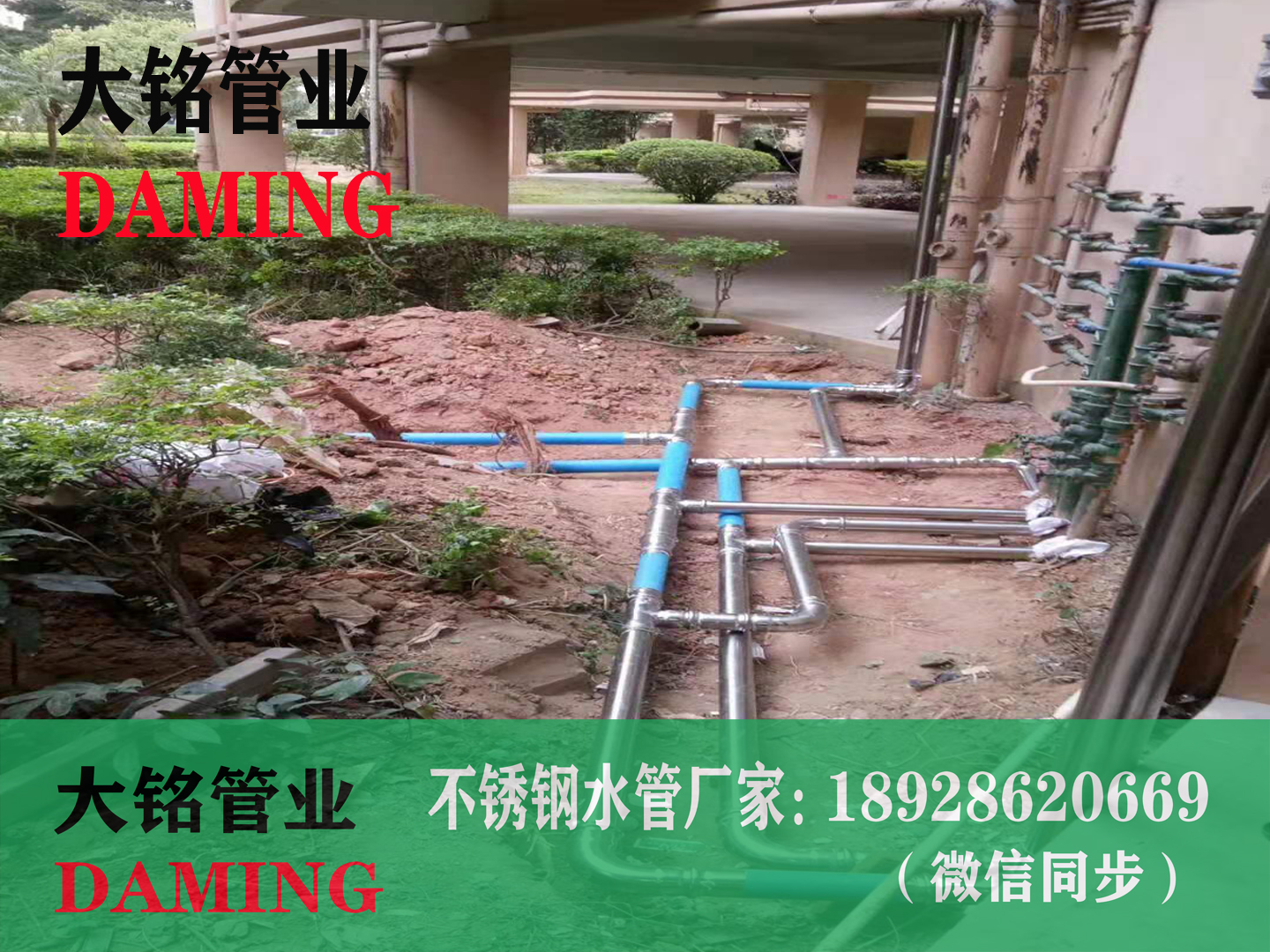  佛山SUS304深夜18禁下载卡壓彎頭dn32
