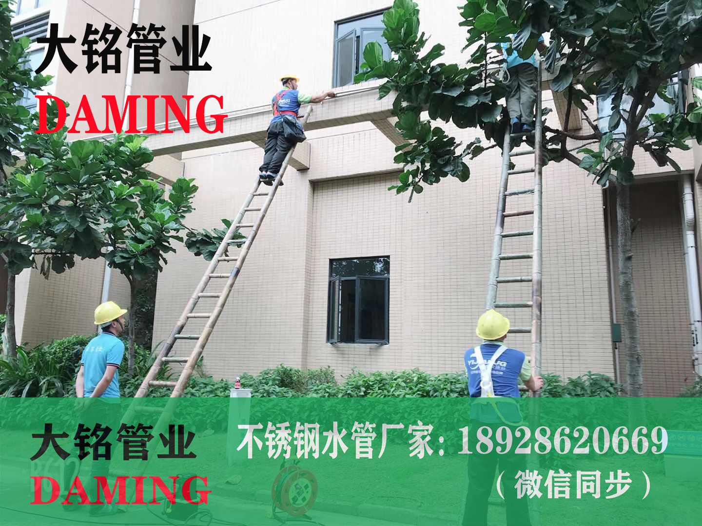 316L深夜18禁下载水管